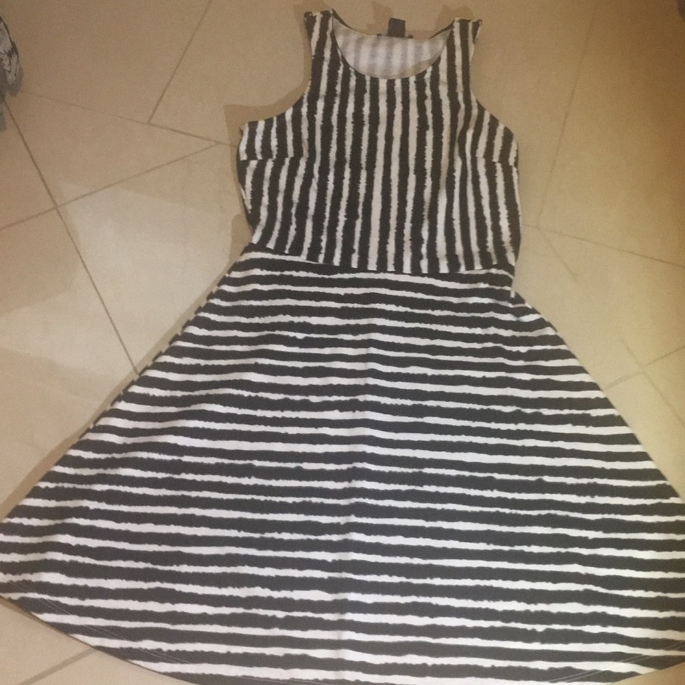 H & M Fit and Flair Dress